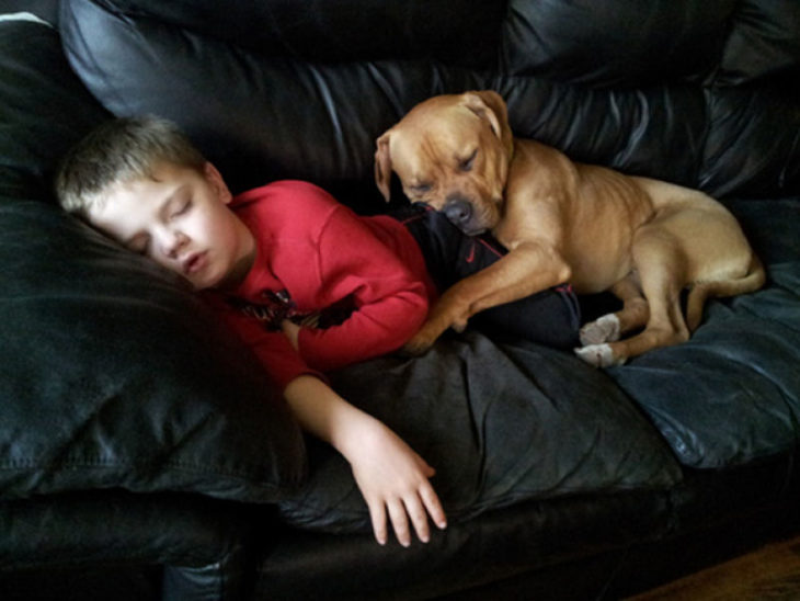 Perro y niño dormido en el sillon