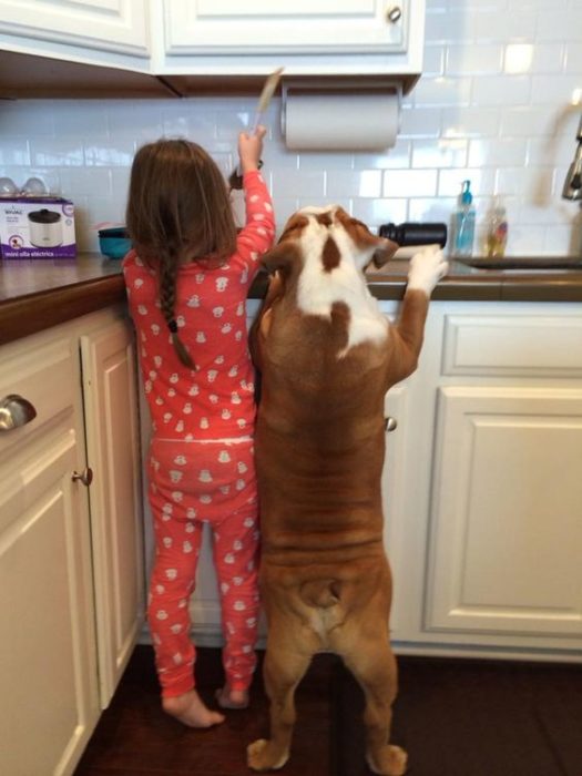 Niña y perrito cocinando