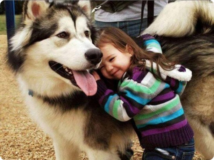 Niña abrazando a husky