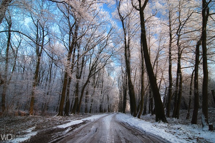 paisaje de invierno en polonia