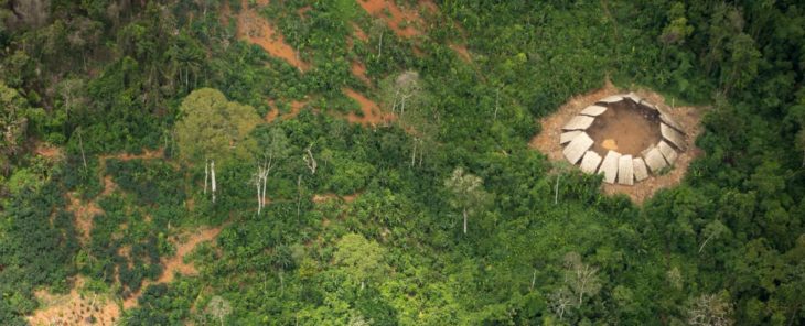 Selva del Amazonas en Brasil