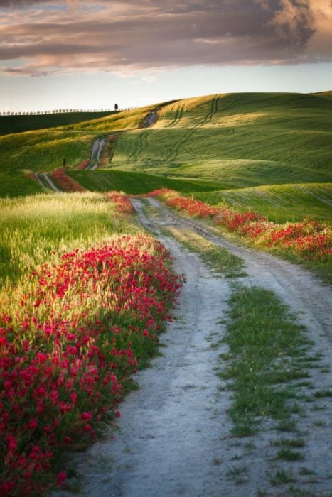 Camino en Toscana, Italia