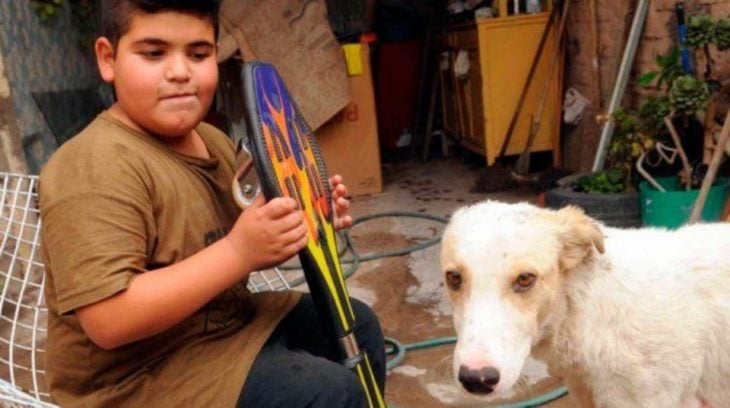 Niño su patineta y su perro