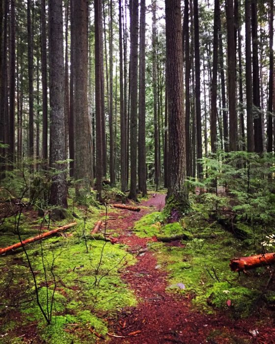 camino natural en vancuver canadá