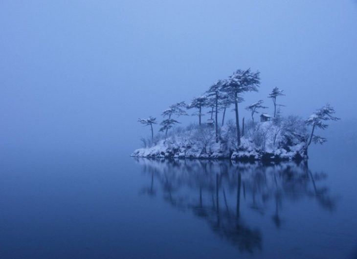 isla de árboles nevados