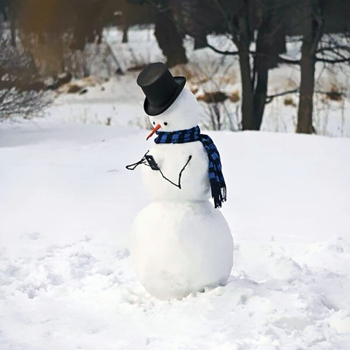 muñeco de nieve con celular