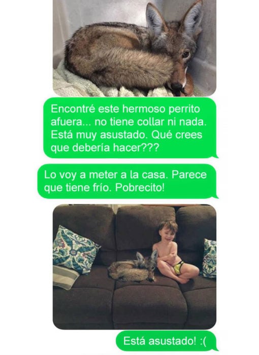 Mensaje de texto mujer bromea a su esposo - encontré este perrito