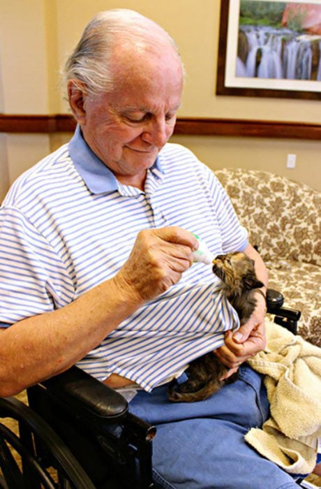 anciano alimentando a un gatito