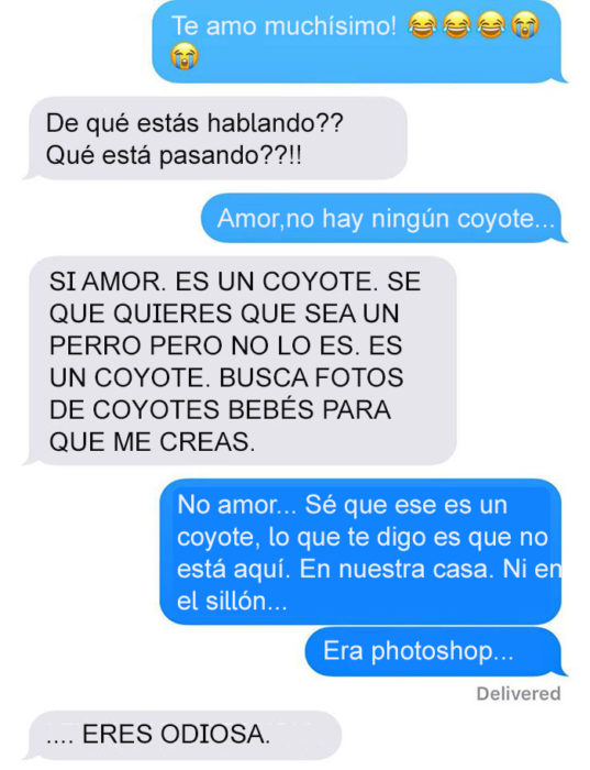 Mensaje de texto mujer bromea a su esposo - no hay ningún coyote