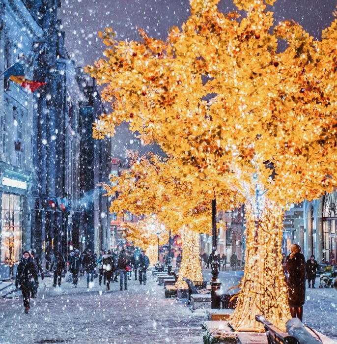 árbol decorado con luces