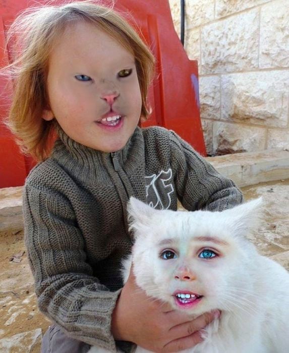 faceswap de niña y gato