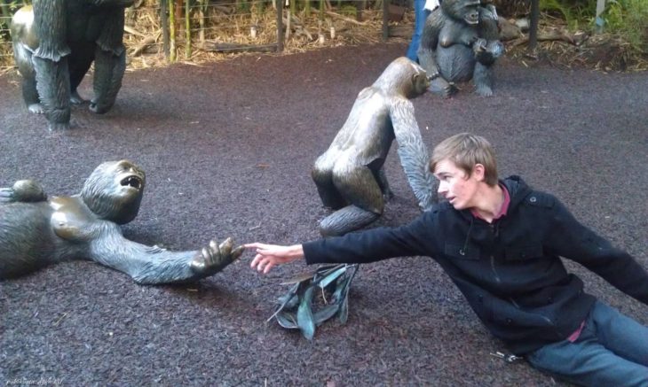 hombre tomando un dedo de una estatua de monos