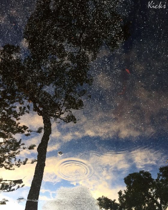 Reflejo en charco luce como una noche estrellada