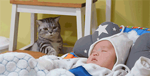 gato se baja de cuna de un bebé