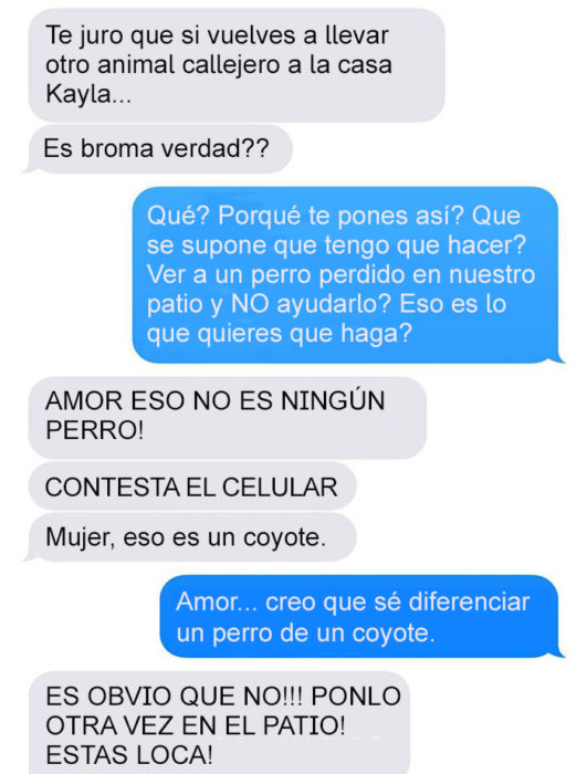 Mensaje de texto mujer bromea a su esposo - eso es un coyote