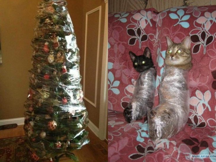 árbol de navidad y gatos enredados con papel plástico