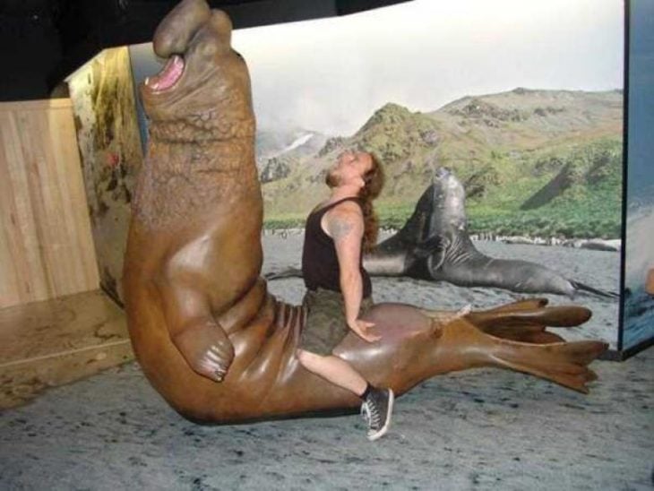 hombre imita la posición de una estatua de foca
