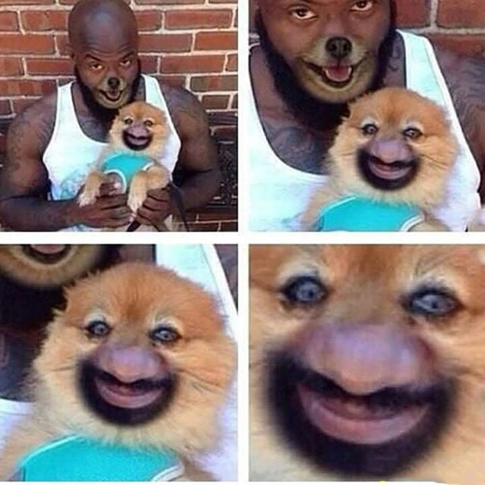 faceswap de hombre y perro