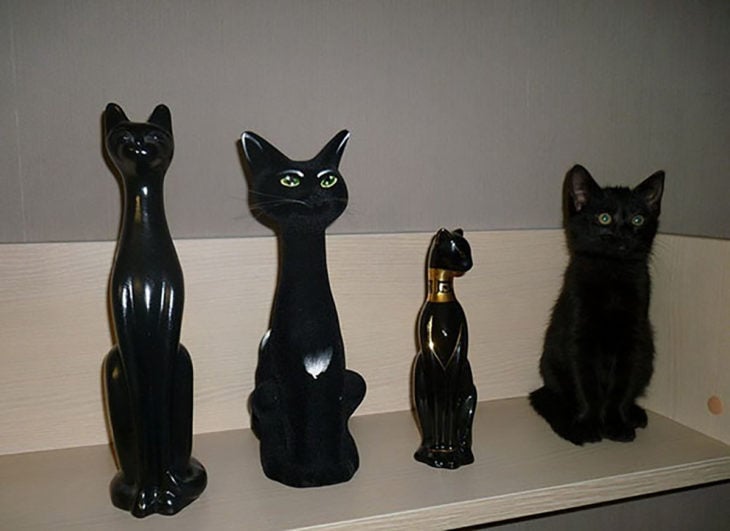 estatuillas de gatos y gato negro