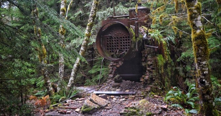 máquina abandonada cubierta de naturaleza