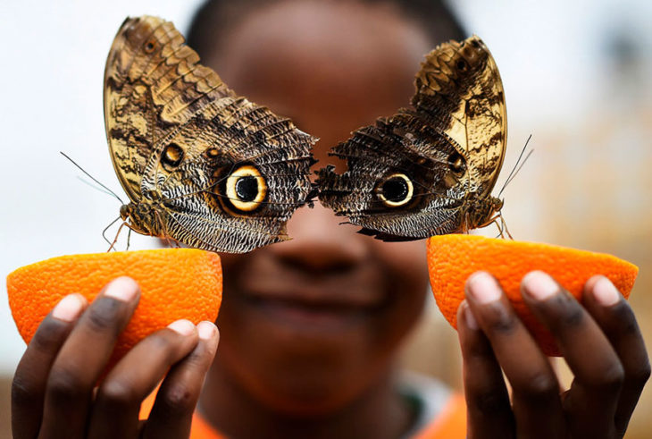 niño posa con mariposas