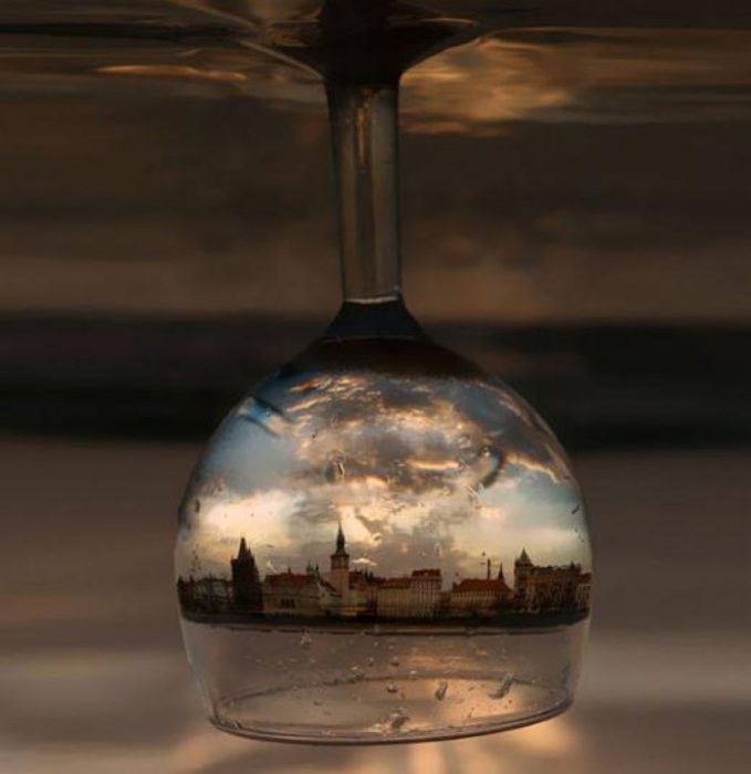 reflejo de praga en una copa de vino