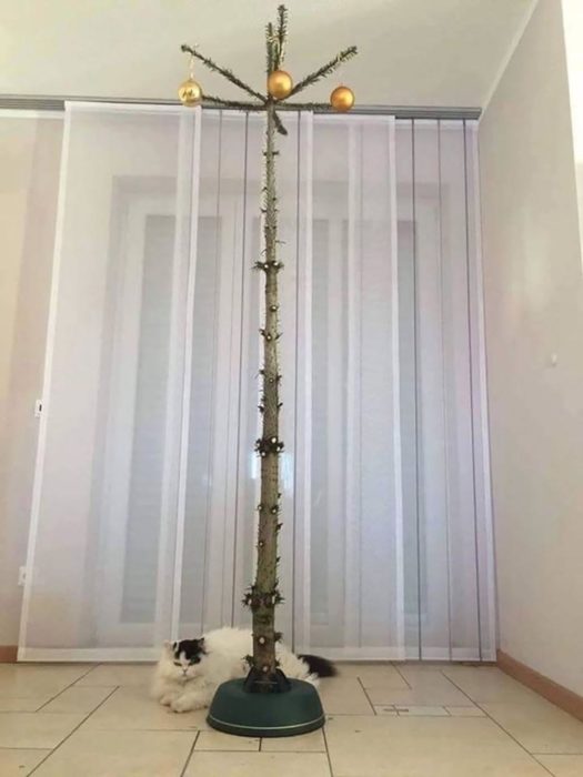 árbol de navidad especial para gato