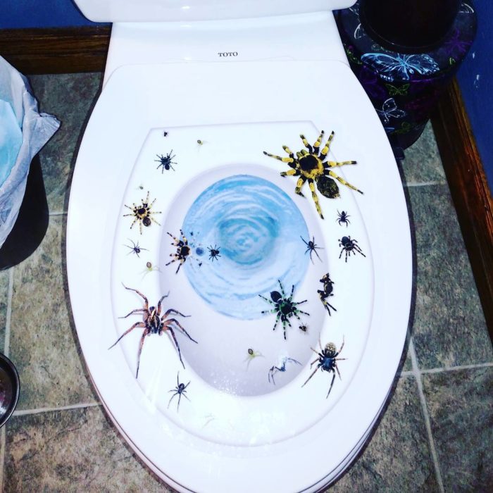 taza de baño con estampas de arañas