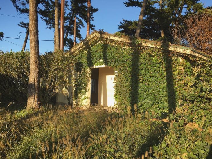 casita con paredes cubiertas de plantas