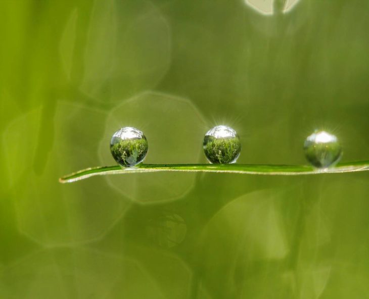 tres gotas reflejan el paisaje