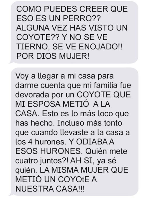 Mensaje de texto mujer bromea a su esposo - como crees que eso es un perro?