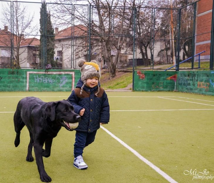 niño paseando a un perro negro