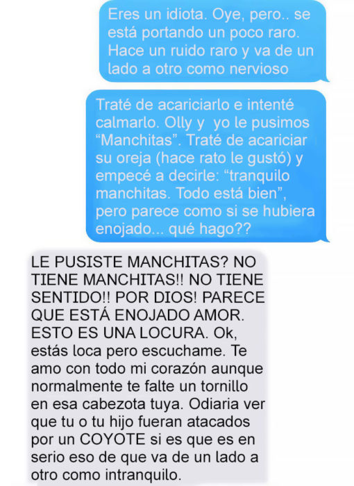 Mensaje de texto mujer bromea a su esposo - le pusiste manchitas?