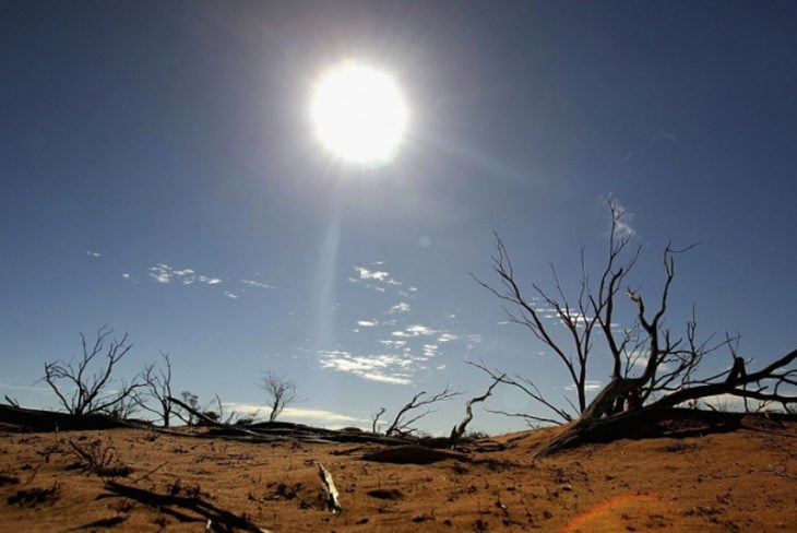 calor insoportable a consecuencia del calentamiento global 