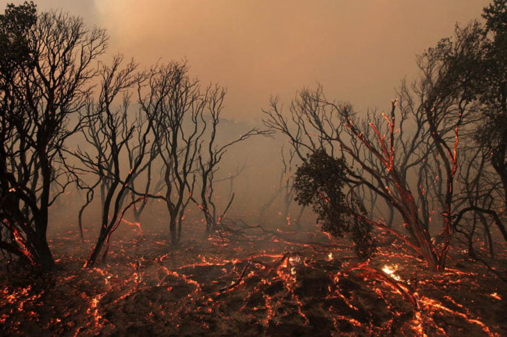 incendios originados por el cambio climático 