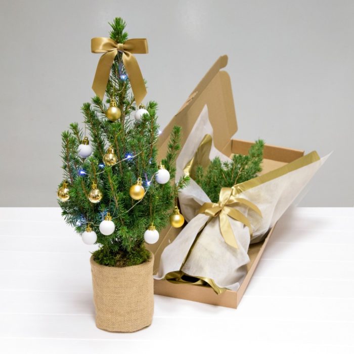 Decoraciones navideñas para flojos - Arbol en caja