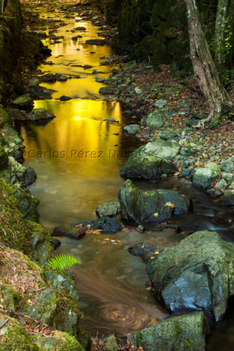 Fotografía del agua en el río 