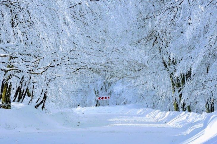 Lugar todo lleno de nieve