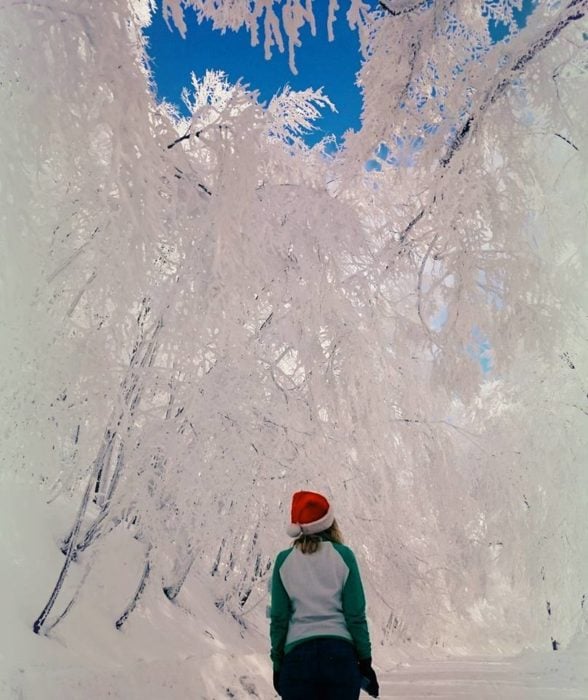 Mujer viendo arboles blancos por la nieve