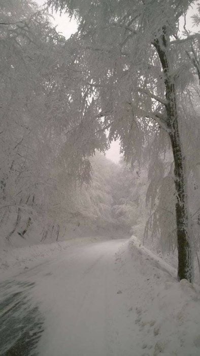 Neblina en medi de un lugar nevado