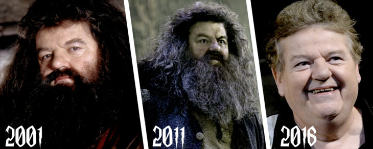 hagrid, evolución 