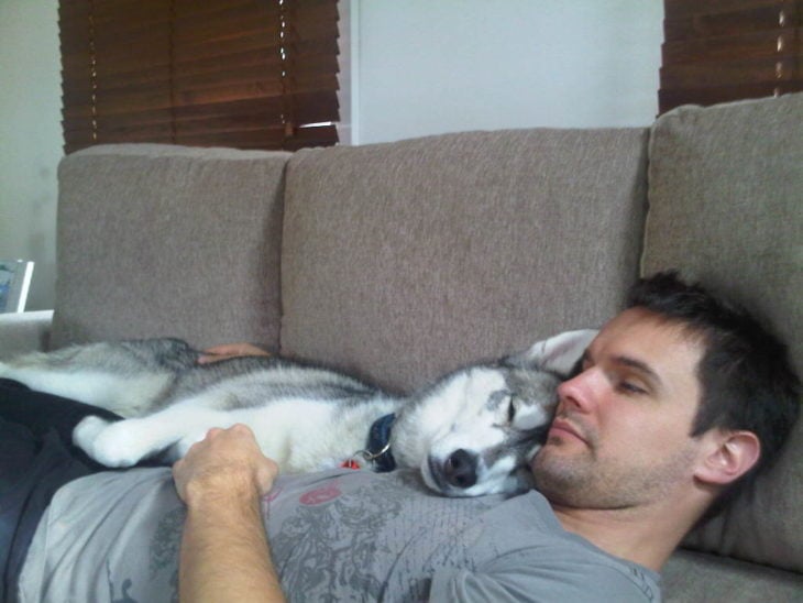 Acostado con un husky