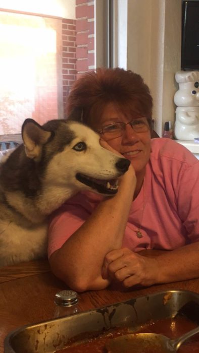 Husky pegado a su dueña