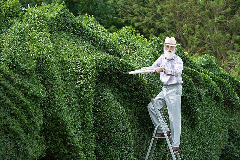 Tardó 13 años en crear este hermoso dragón en un árbol