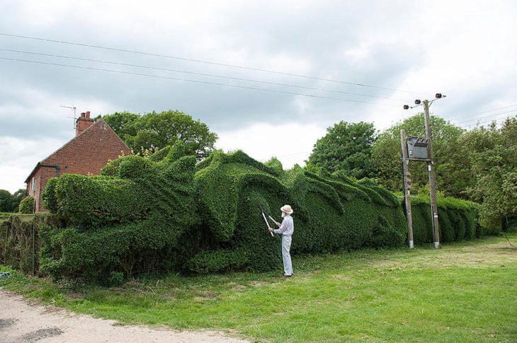 hombre junto a un enorme árbol en forma de dragón 