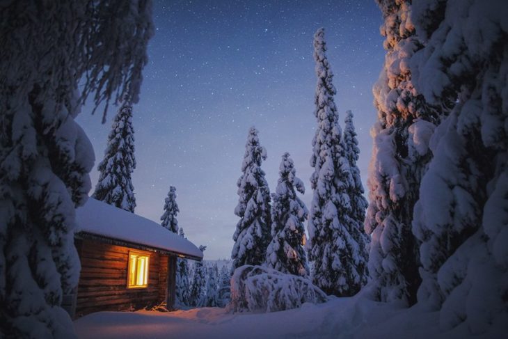 Casa en medio de un bosque nevado