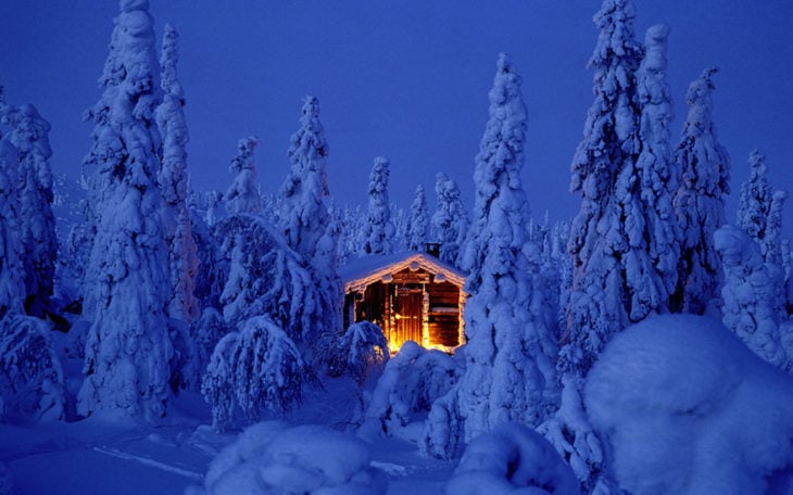 Casa encendida en bosque nevado