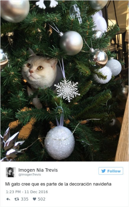 Tuits gatos 2016 -gato en arbol de navidad