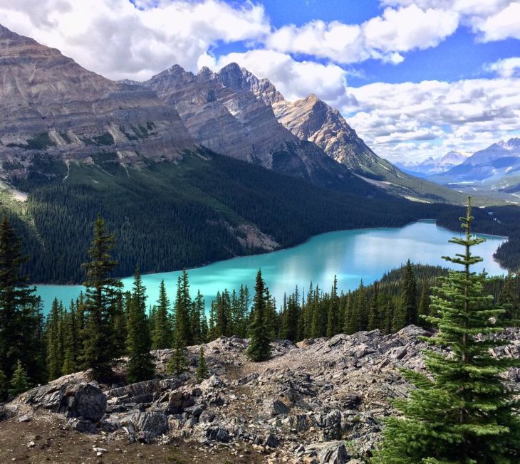  Lago Peyto