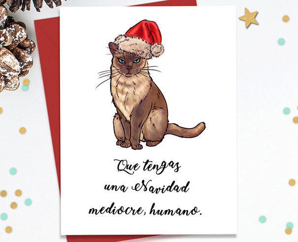 Tarjeta que tengas una navidad mediocre y es un gato